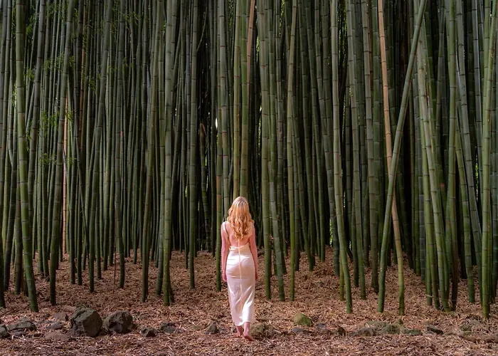 Hana Lodge